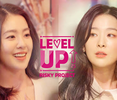 Level Up - RISKY Project