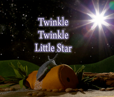 Twinkle Twinkle Little Star