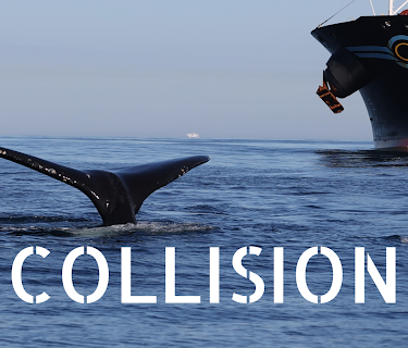 Collision (2023)
