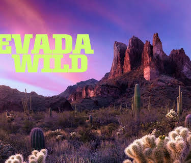 Nevada Wild