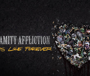 The Amity Affliction Seems Like Forever (2015)