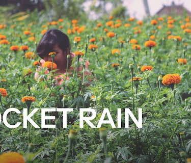 Rocket Rain (2013)