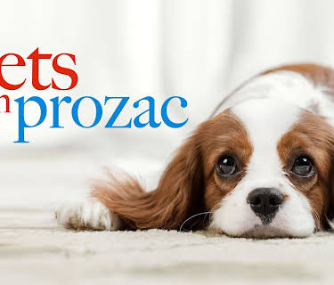 Pets on Prozac (2009)