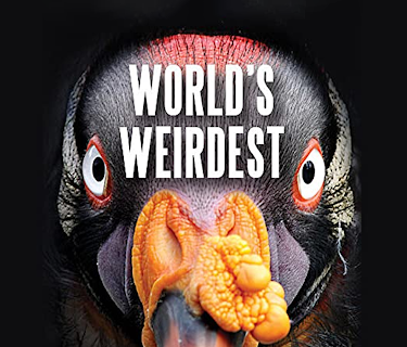 World's Weirdest Season 1