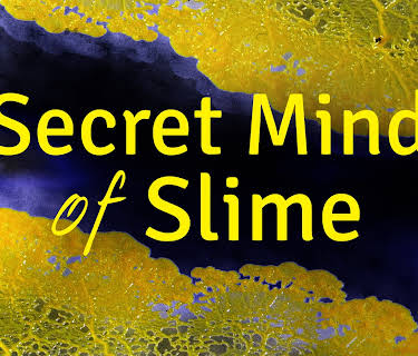 Secret Mind of Slime (1974)