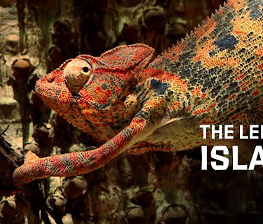 The Lemur's Island (2015)