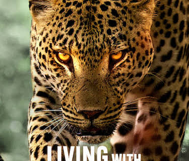 Living with Leopards (2024)