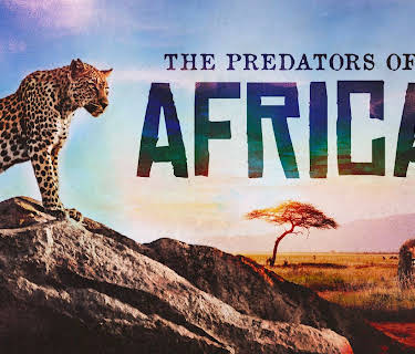 The Predators of Africa (2026)