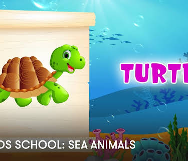ZenKIDS School: Sea Animals (2023)