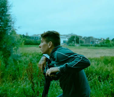 Bird (2024)