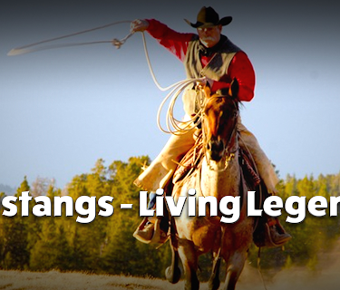 Mustangs - Living Legends