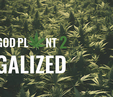 The God Plant 2: Legalized (2024)