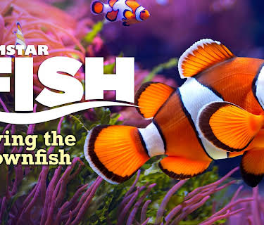 Filmstar Fish (2026)