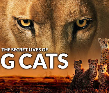 The Secret Lives Of Big Cats