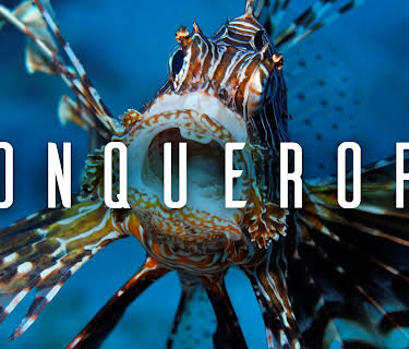 Conquerors