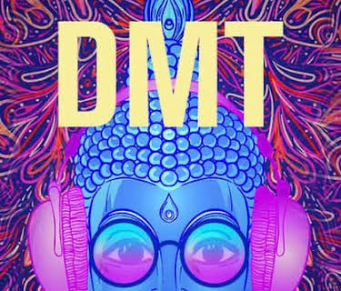 DMT (2022)