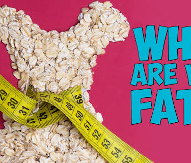 Why Are We Fat? (2018)