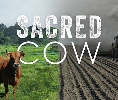 Sacred Cow (2020)