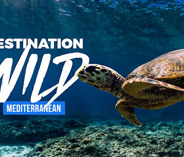 Destination Wild Mediterranean