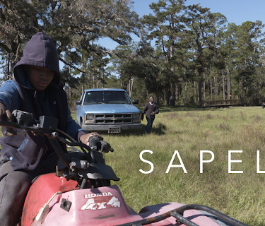 Sapelo (2022)