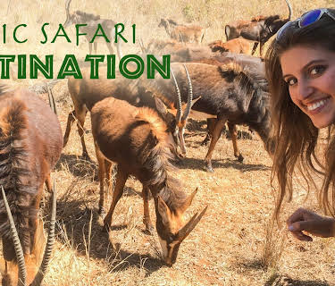 EPIC SAFARI ENCOUNTERS