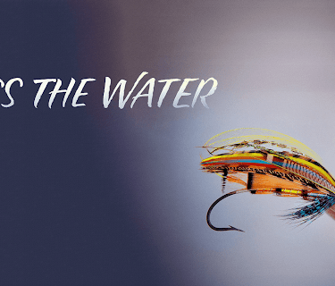 Kiss The Water (2013)