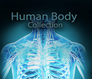 Human Body Collection Season 1