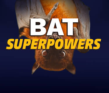 Bat Superpowers (2021)
