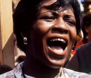 I am not your Negro (2017)