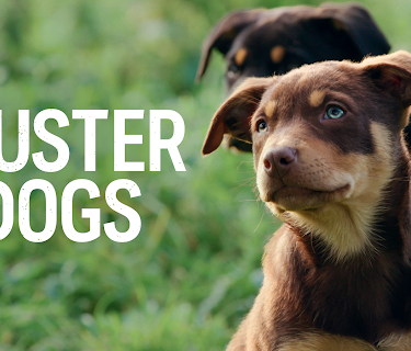 Muster Dogs, Season 1