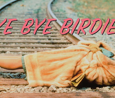 Bye Bye Birdie (1995)