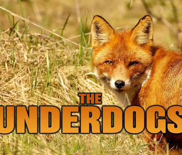 The Underdogs (2017)