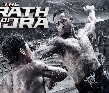 The Wrath of Vajra (English Subtitled) (2014)