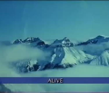 Alive (1993)
