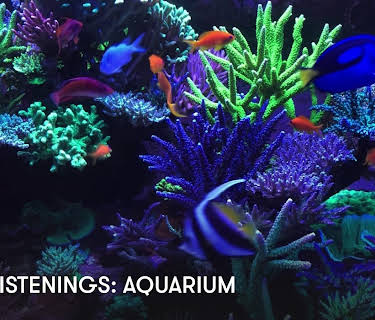Easy Listenings: Aquarium (2023)