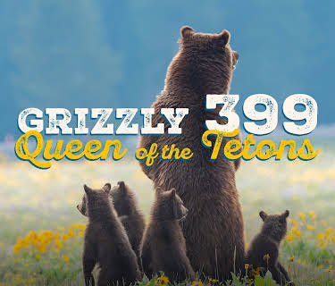 Grizzly 399: Queen of the Tetons (2024)