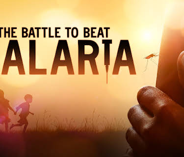 The Battle to Beat Malaria (2023)