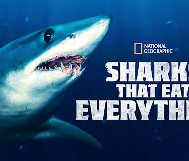Sharks That Eat Everything (2022)