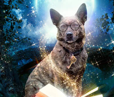 Amazing Wizard of Paws (2015)