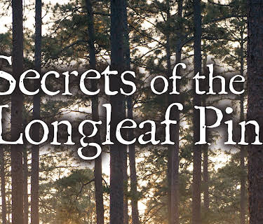 Secrets of the Longleaf Pine (2018)