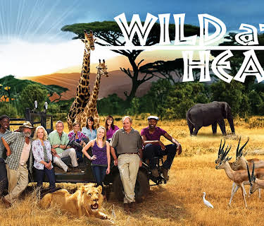 Wild at Heart