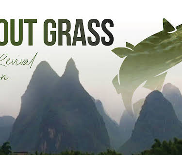 Trout Grass The Revival Edition (2005)