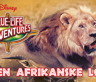 The African Lion (1955)