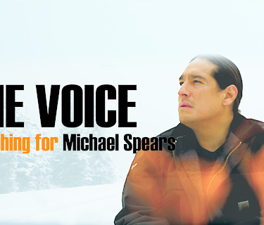 One Voice: Searching for Michael Spears (2024)