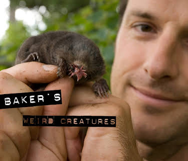 Nick Baker's Weird Creatures