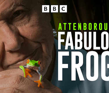Attenborough's Fabulous Frogs (2014)