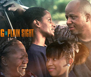 Hiding in Plain Sight (2012)