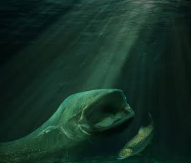 River Jaws (2023)
