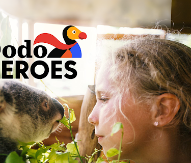 Dodo Heroes Season 1