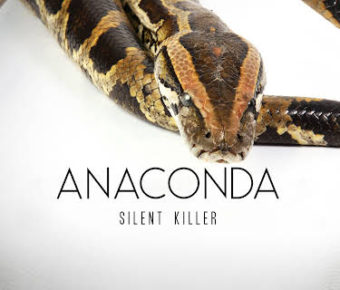 Anaconda: Silent Killer (2014)